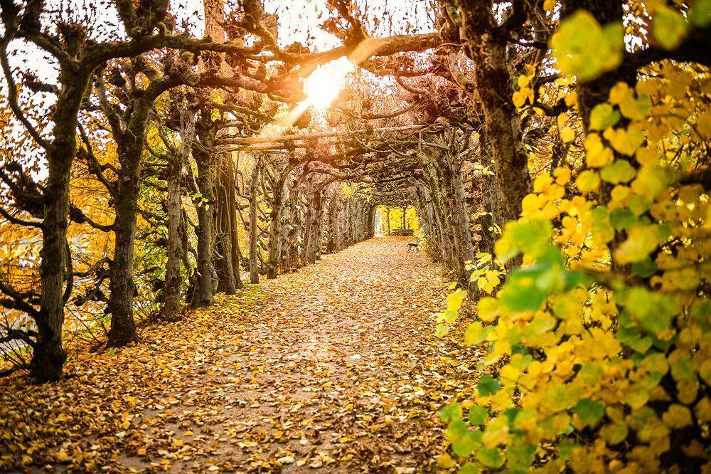 ดอรินต์รีสอร์ทแอนด์สปา บัด บรูเอคเคเนา Staatsbad Bruckenau ภายนอก รูปภาพ